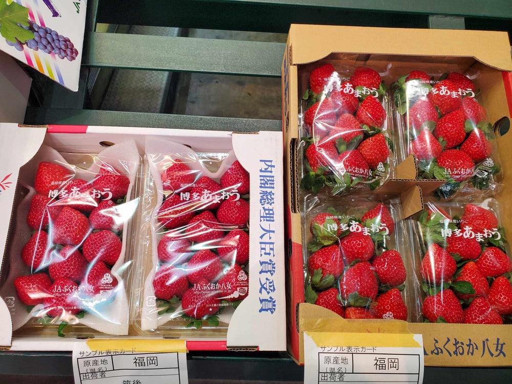 福岡県産のいちご　あまおう　今年初入荷！