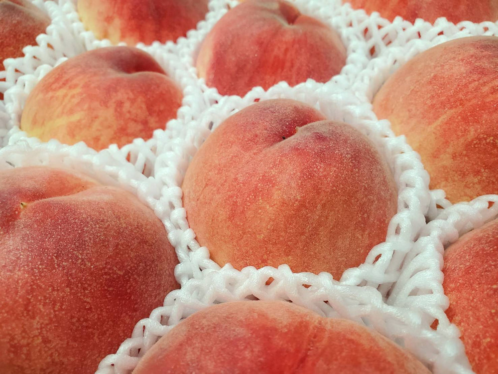 山梨県産 桃「信玄」