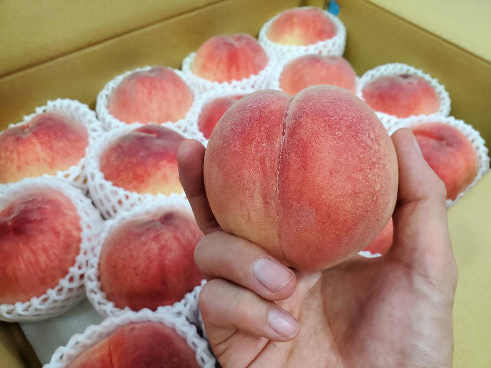 
                  
                    山梨県産 桃「信玄」
                  
                