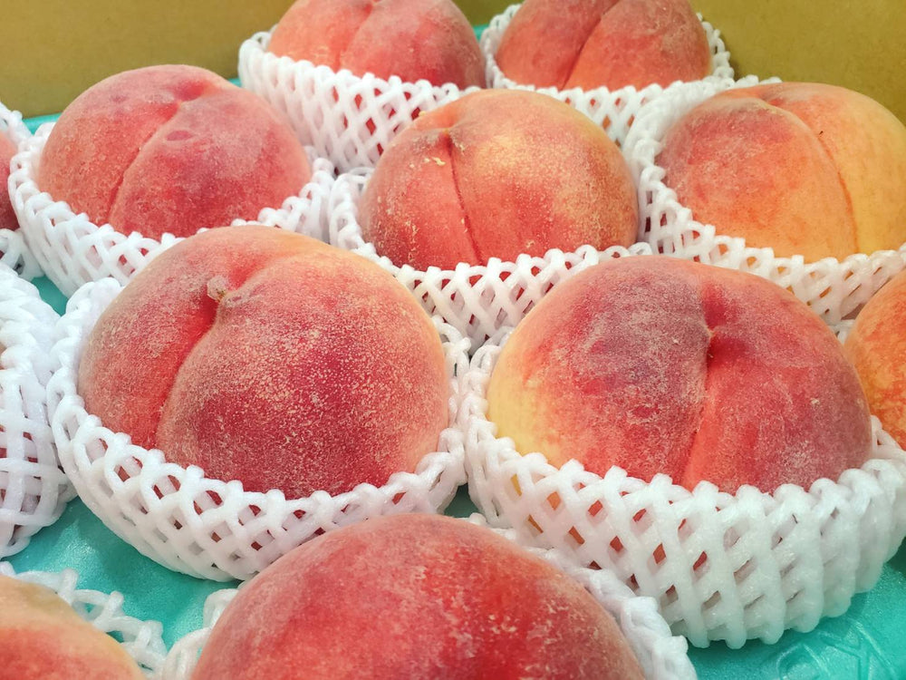 長野県産 桃 『太鼓判』