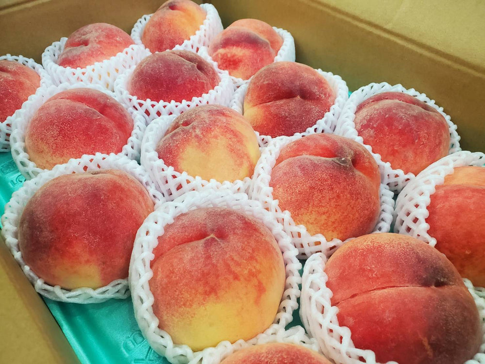 
                  
                    長野県産 桃 『太鼓判』
                  
                