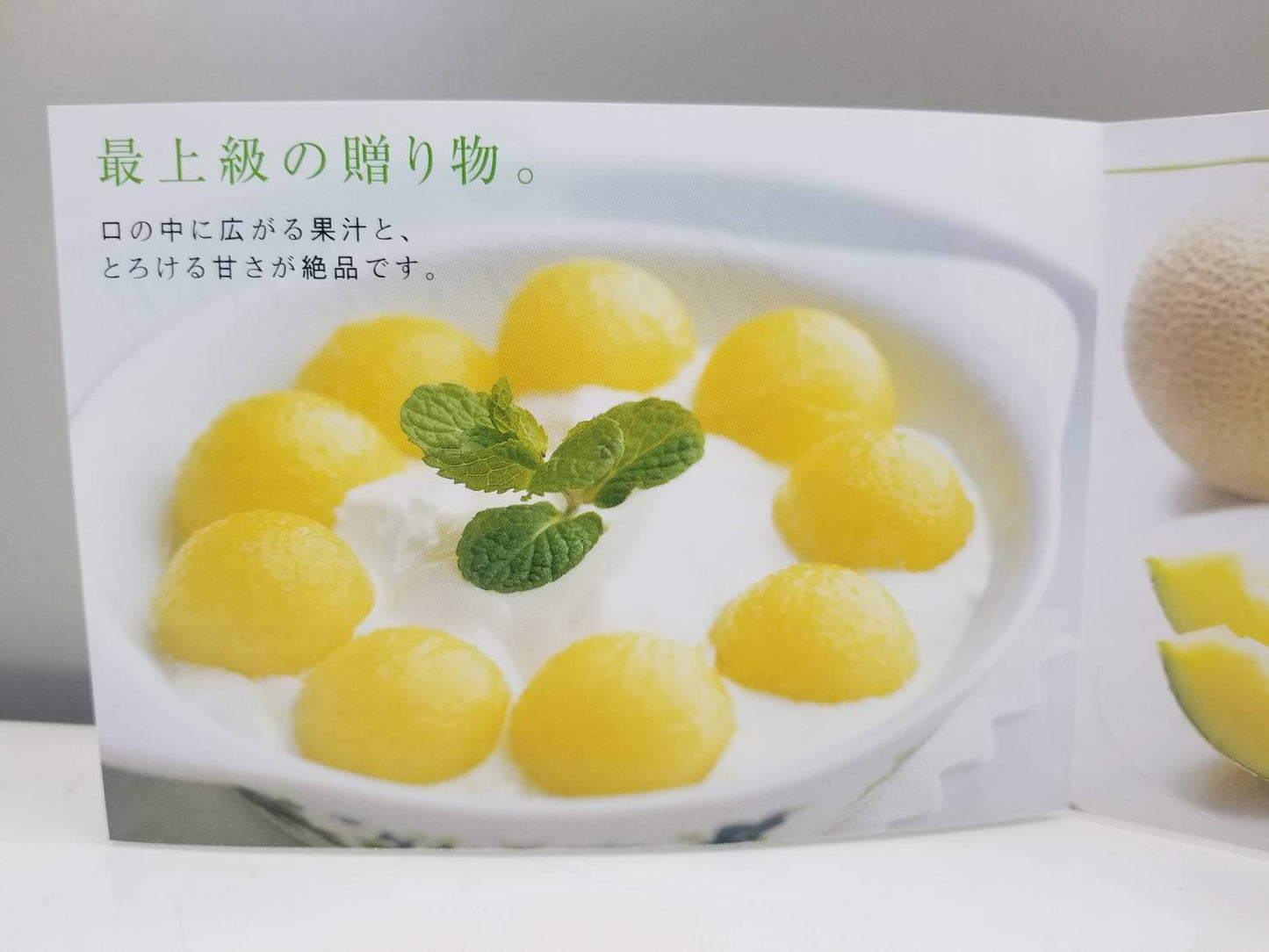 
                  
                    静岡産　マスクメロン「アールスメロン」
                  
                